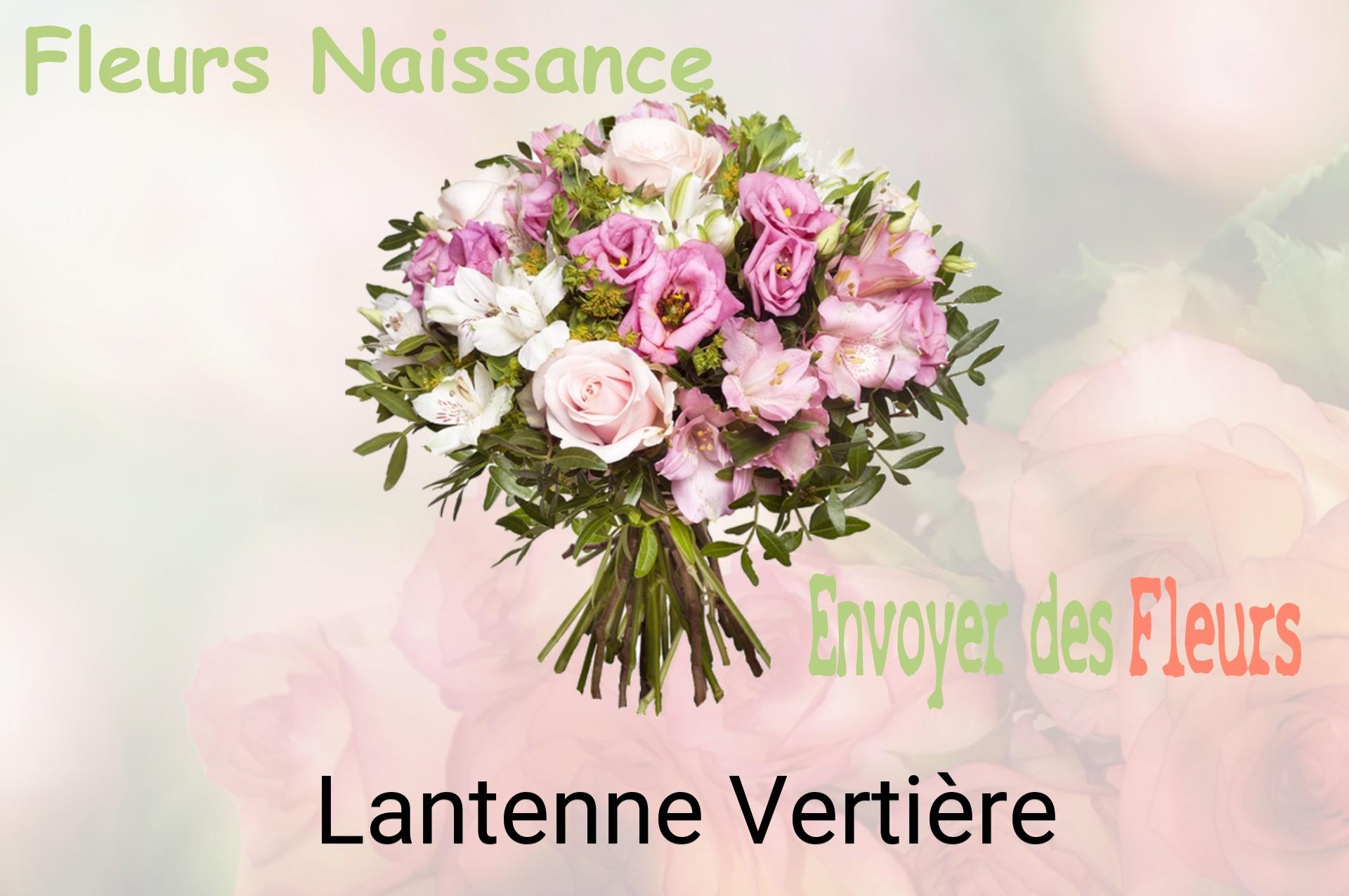 Bouquet de fleurs de naissance livré à Lantenne-Vertière